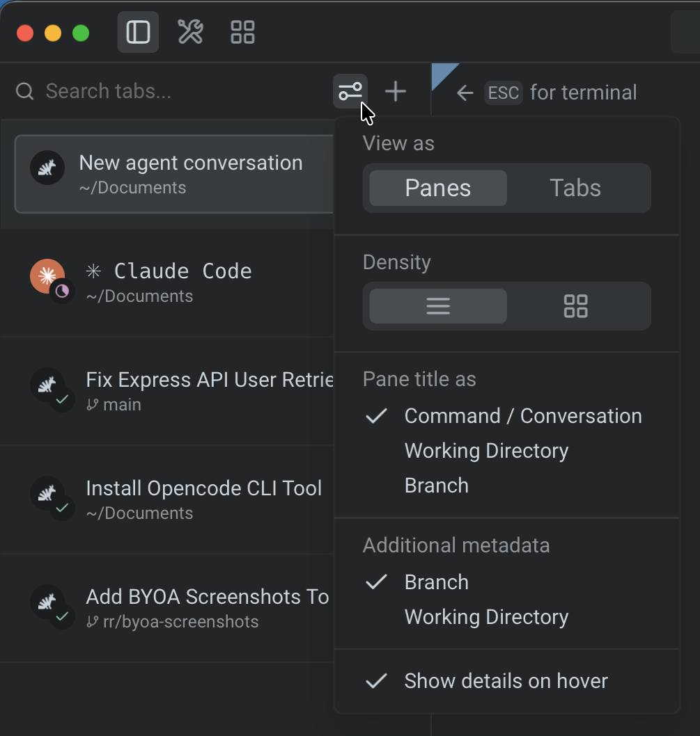The vertical tabs settings popup anchored to the sliders icon, showing View as, Density, Pane title as, Additional metadata, and Show details on hover options